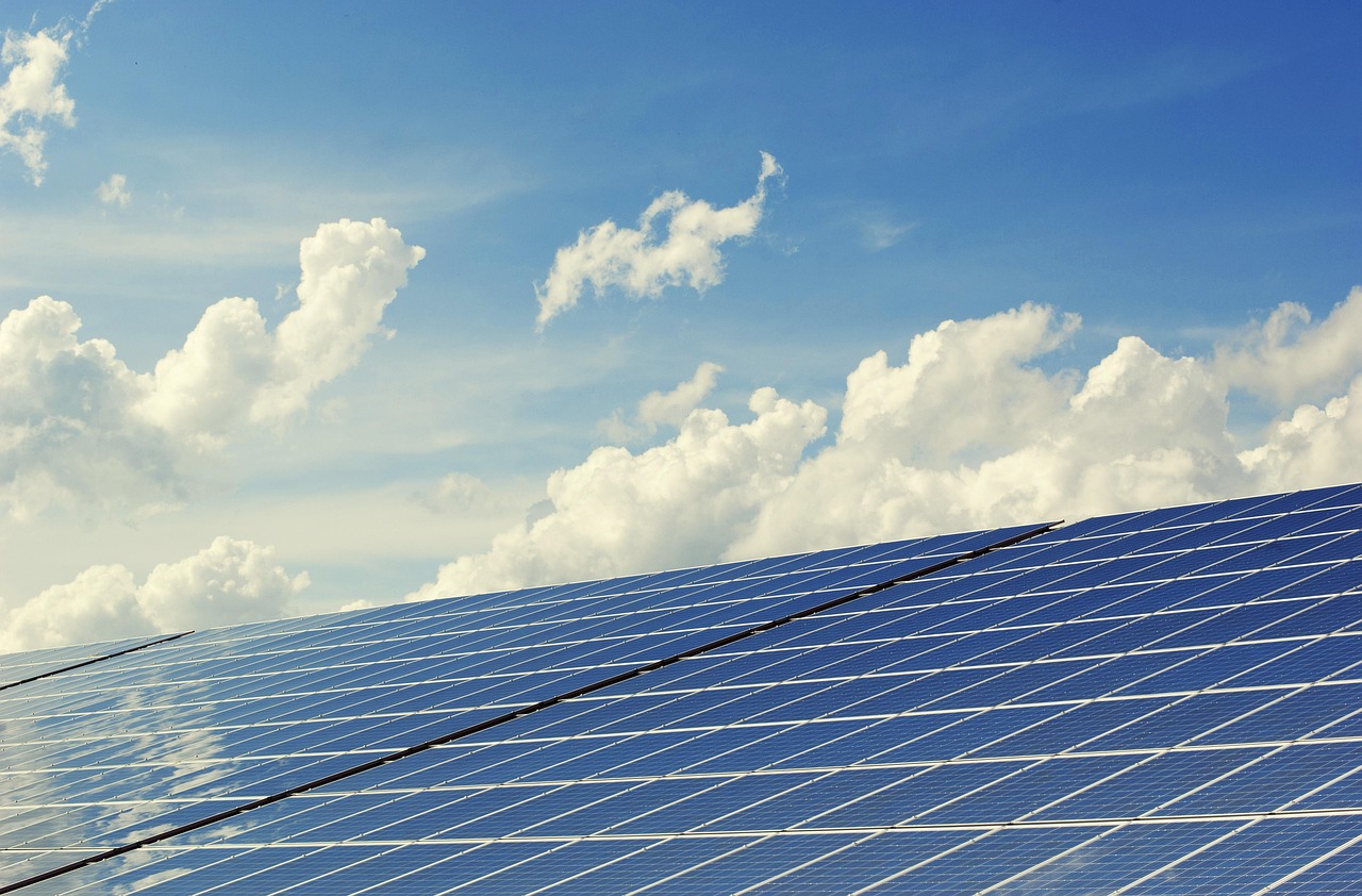 Energy sector with wind turbines and renewable power generation